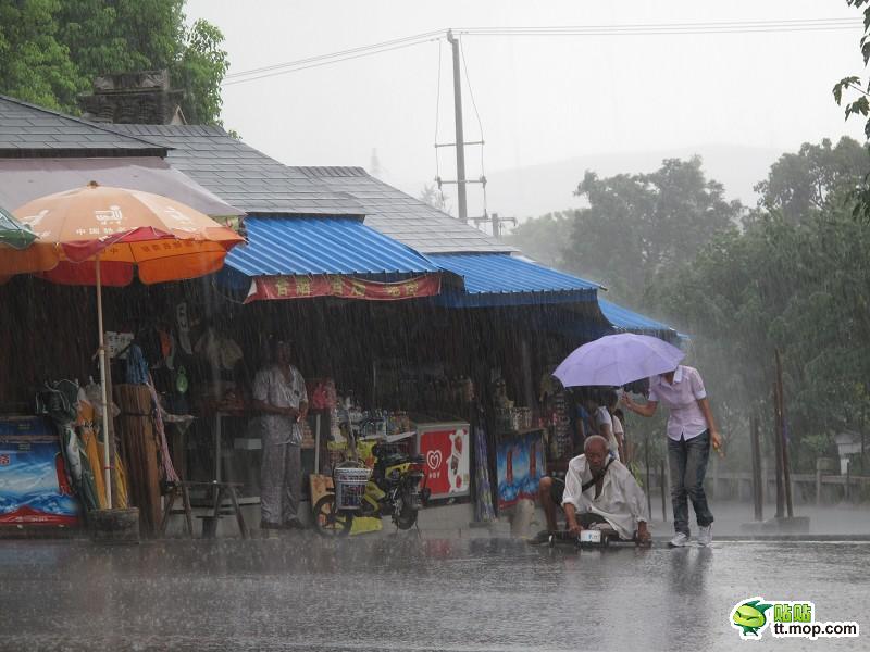 苏州最美女孩暴雨中为残疾乞丐撑伞