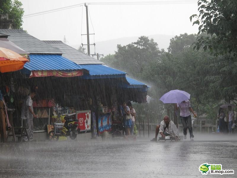 苏州最美女孩暴雨中为残疾乞丐撑伞