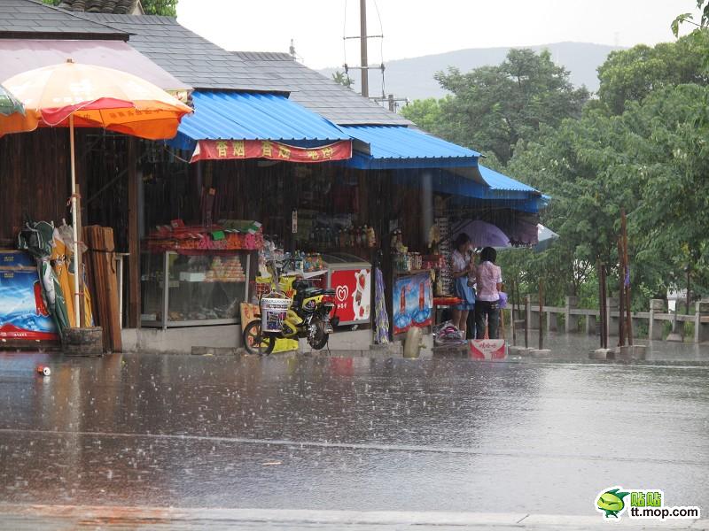 苏州最美女孩暴雨中为残疾乞丐撑伞